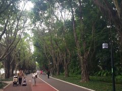 -南宁南湖公园