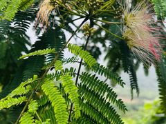 -达蓬山旅游度假区
