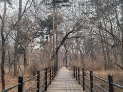 -沈阳市东陵公园