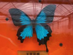 -菊园百果园