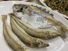 -长平老姿娘夜粥(平东一街店)