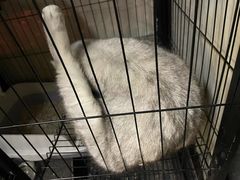 -艺味深尝(云锦路店)