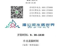 -西双版纳原始森林公园