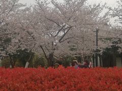-堤角公园