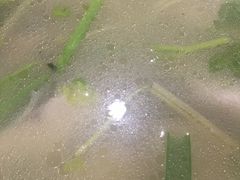 -龙宫海鲜楼(长乐漳港店)