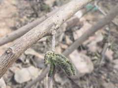 -汉长安城未央宫国家考古遗址公园