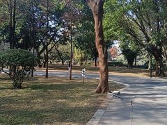 -晓港公园