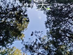 -香山公园