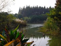 -南湖湿地公园