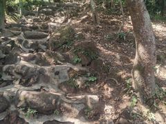 -梧桐山风景名胜区