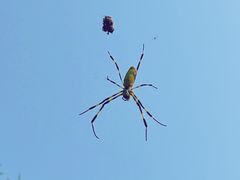 -北京十三陵国家森林公园蟒山景区