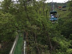 -富斯特索道