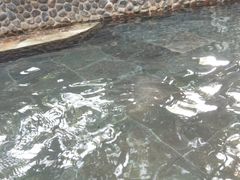 -三亚珠江南田温泉度假区