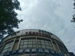 -脉道美容养生会所