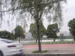 -渭滨公园