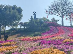 -东莞植物园