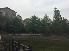 -北京民族园葉子里酒店(鸟巢店)