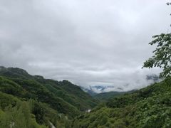 -塔云山