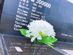 -侵华日军南京大屠杀遇难同胞纪念馆