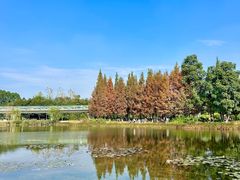 -白鹭湾湿地公园