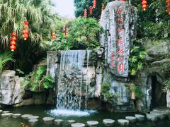 -广州市流溪河国家森林公园