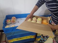 -老袁家蜜桃农场·阳山水蜜桃