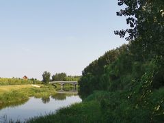 -东郊湿地公园