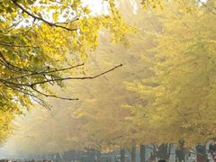 -辽宁大学(崇山校区)