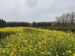-汉景帝阳陵博物院