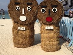 -三亚蜈支洲岛旅游区