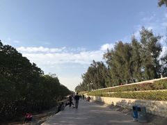 -宝安西湾红树林湿地公园