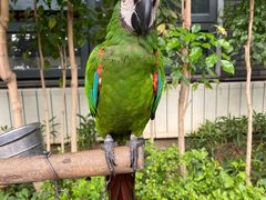 -南宫五洲植物乐园