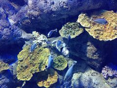 -福州罗源湾海洋世界旅游区