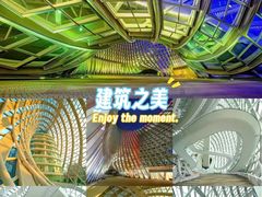 -凤凰中心