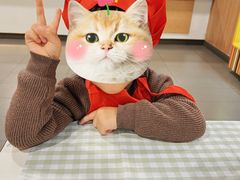 -Angel Garden天使花园幼儿园