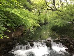 -东航云逸酒店(九溪烟树店)