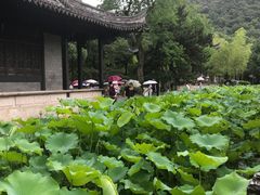 -兰亭风景区