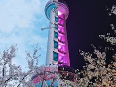 -东方明珠广播电视塔