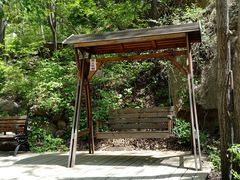 -大岭沟猕猴桃谷风景区