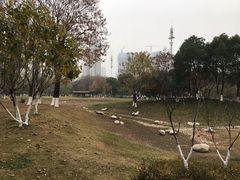 -后襄河公园