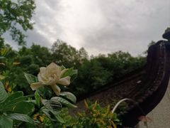 -宋宴(虎跑店)