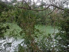 -金鸡岭桥头公园