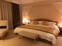 -南京维景国际大酒店(南京博物院店)