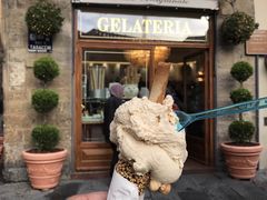 -圣母百花大教堂穹顶