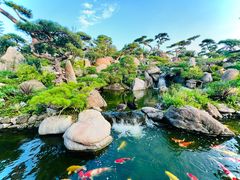 -罗红摄影艺术馆