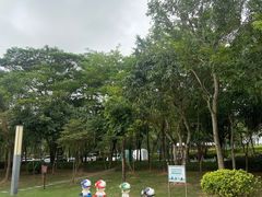 -大亚湾红树林城市湿地公园