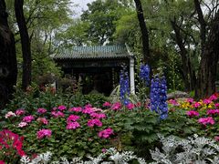 -沈阳植物园
