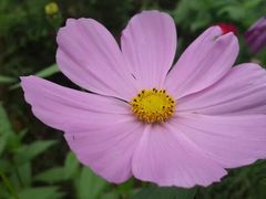 android_upload_pic-桤木河湿地公园