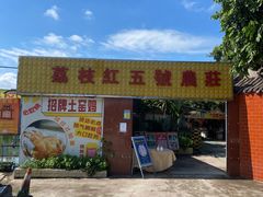 -荔枝红五号农庄