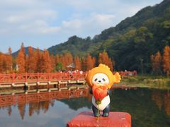 -广州市石门国家森林公园